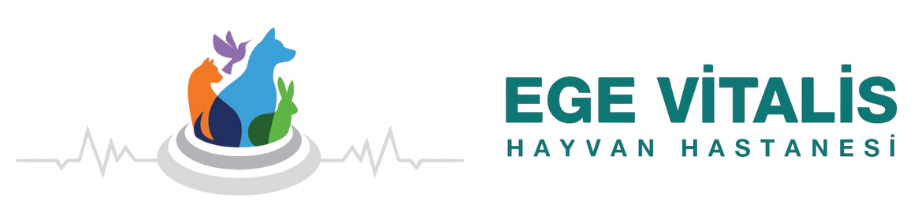 EGE VİTALİS Logo